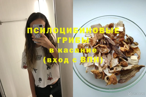 СК Алексеевка