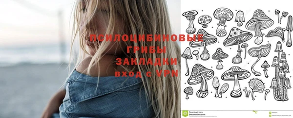СК Алексеевка