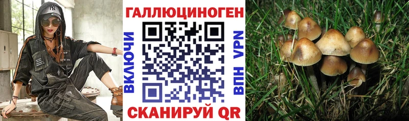 Галлюциногенные грибы Cubensis  Межгорье 